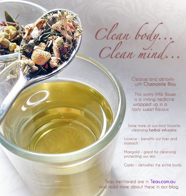 15 Detox and Cleansing Herbs from Around the Globe