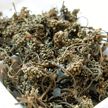 Asian Ginseng
