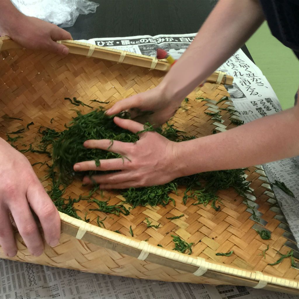 Japanese Green Tea Guide