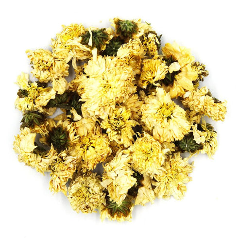 Chrysanthemum