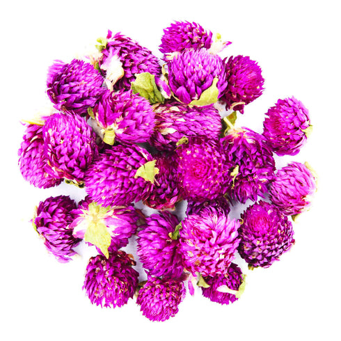 Globe Amaranth