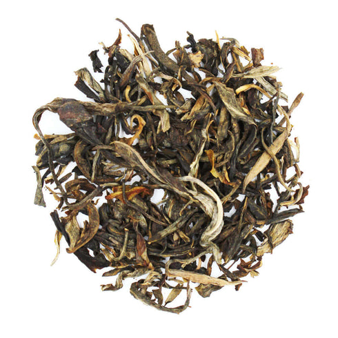 Pasha Puerh